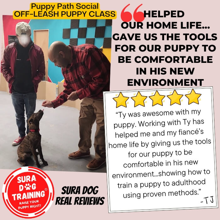 Real 5 Star Google Client Review for Sura Dog Training for Off Leash Puppy Class / Puppy Path Social. Backed by science, gentle, reward based, dog friendly. Looking for the best dog trainer in Bremerton, Bainbridge Island, and Kitsap County? Sura Dog Training uses dog training and puppy training methods by Ian Dunbar. Veterinarian recommended. 96% of our clients only need ONE session!