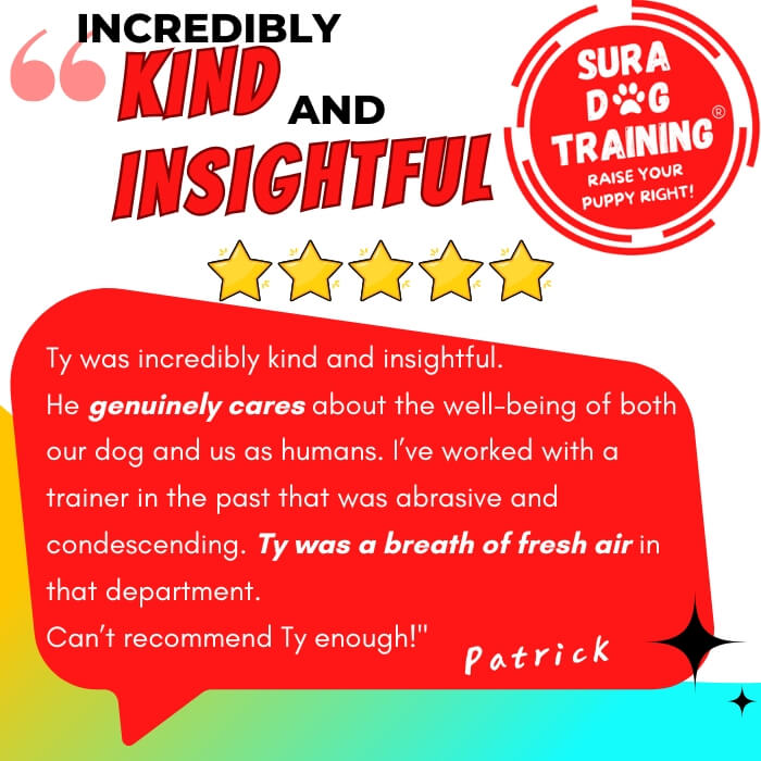 Anxious Reactive Dog Sura Dog Training 5 Star Google Customer Review
