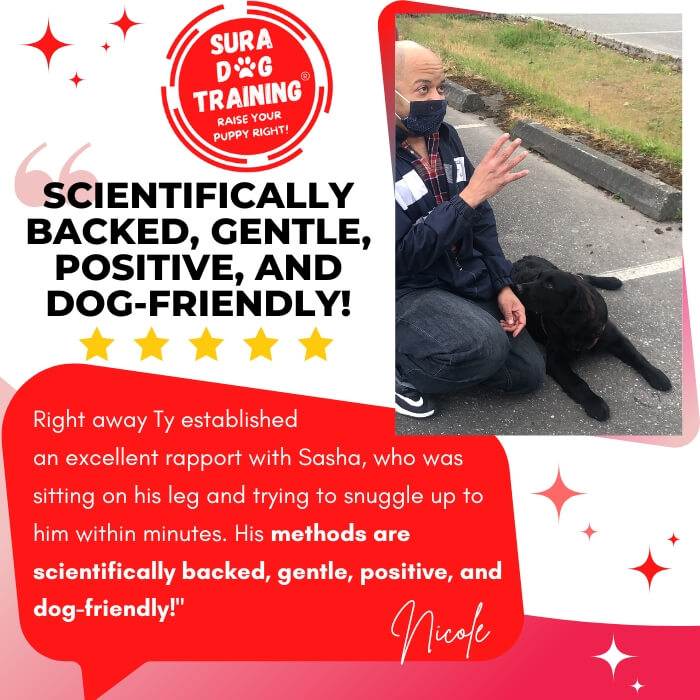 5 Star Customer Google Review for Sura Dog Training for reactive fearful dogs. Science based, gentle, positive reinforcement, dog friendly. Looking for the best dog trainer in Bremerton, Bainbridge Island, and Kitsap County? Sura Dog Training uses dog training and puppy training methods by Ian Dunbar. Veterinarian recommended. 96% of our clients only need ONE session!