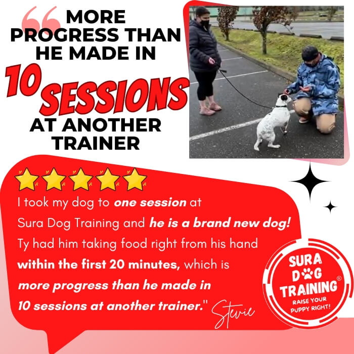 5 Star Customer Google Review for Sura Dog Training for reactive fearful dogs. More progress with Sura Dog Training than he made in 10 Sessions with another trainer. Looking for the best dog trainer in Bremerton, Bainbridge Island, and Kitsap County? Sura Dog Training uses dog training and puppy training methods by Ian Dunbar. Veterinarian recommended.
