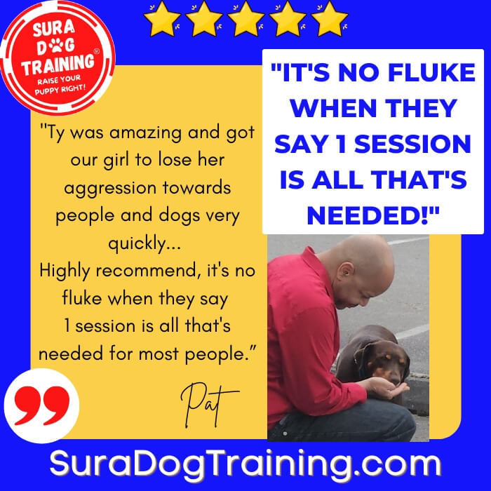 5 Star Customer Google Review for Sura Dog Training for reactive fearful dogs. Science based, gentle, positive reinforcement, dog friendly. Looking for the best dog trainer in Bremerton, Bainbridge Island, and Kitsap County? Sura Dog Training uses dog training and puppy training methods by Ian Dunbar. Veterinarian recommended. 96% of our clients only need ONE session!
